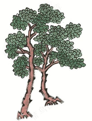 古树国画欣赏图片素材