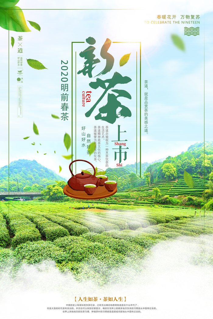 小清新绿色春茶上市茶文化海报