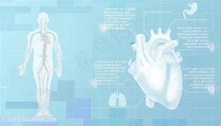 医疗人体心脏解析