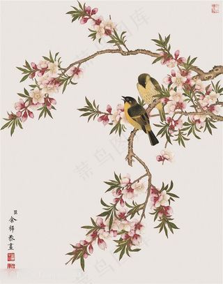 余挚 花鸟中式插画