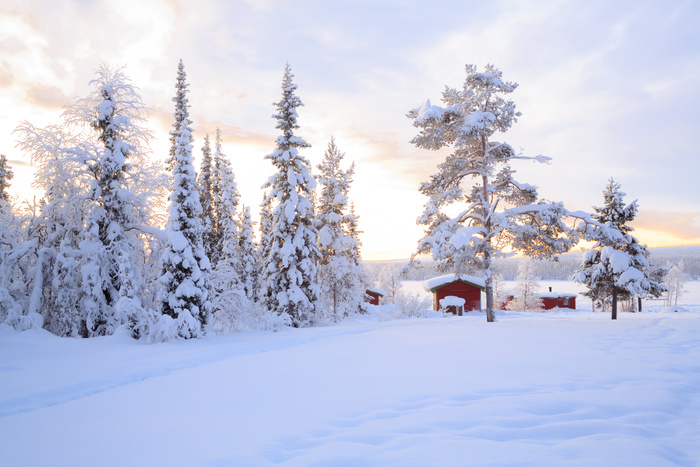 冬天雪地自然美景