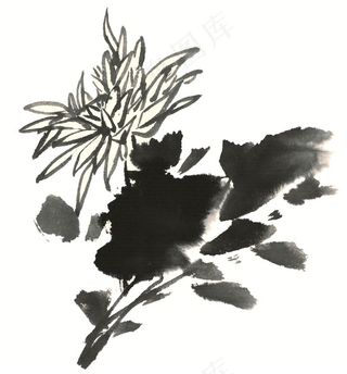 写意花卉文化艺术摄影图片