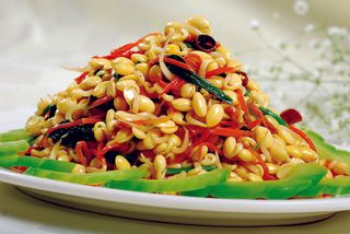 CXC00769豆芽凉瓜