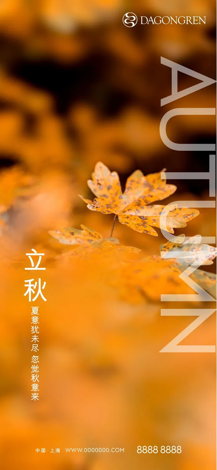 立秋节气海报