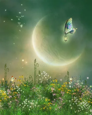 卡通梦幻童话背景高清素材