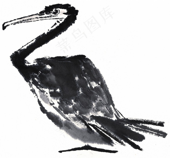 画鸟设计美图素材
