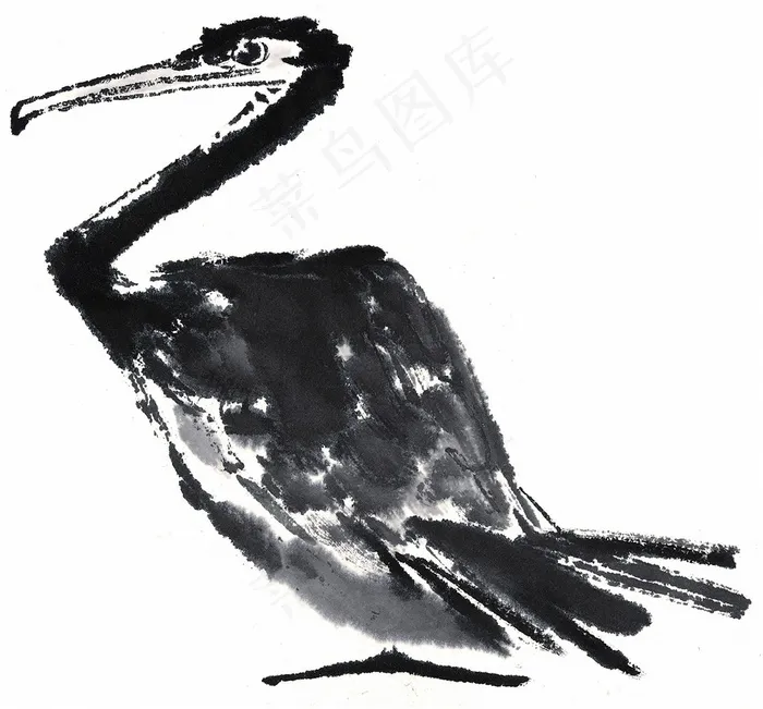 画鸟设计美图素材