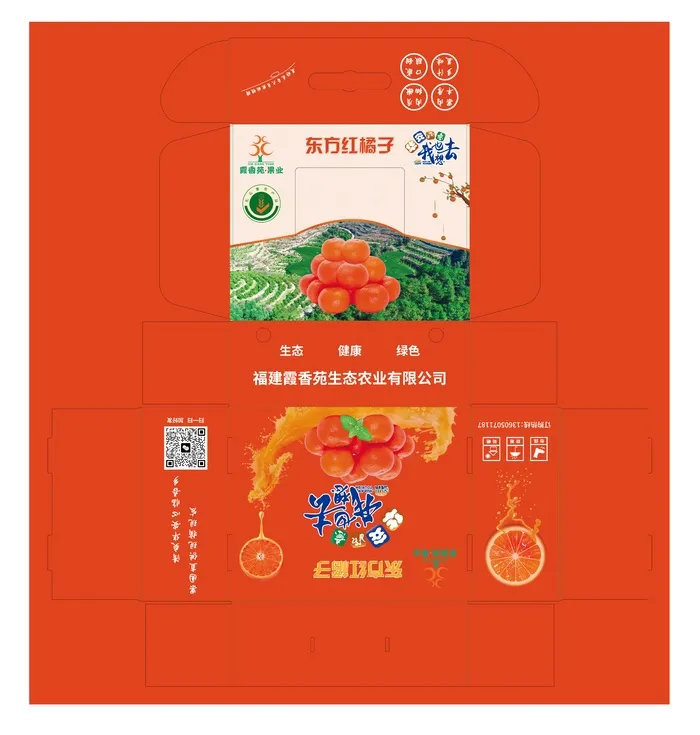 东方红橘子文件-340x270x120mmai矢量模版下载
