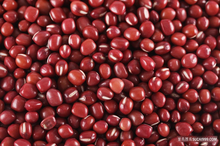 红小豆摄影素材