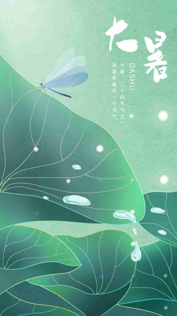 简约清新大暑夏至小暑处暑荷叶蜻蜓原创海报