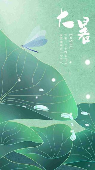 简约清新大暑夏至小暑处暑荷叶蜻蜓原创海报