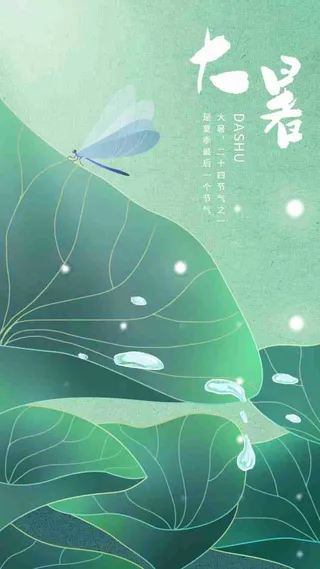 简约清新大暑夏至小暑处暑荷叶蜻蜓原创海报