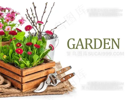 花朵与园艺工具大图