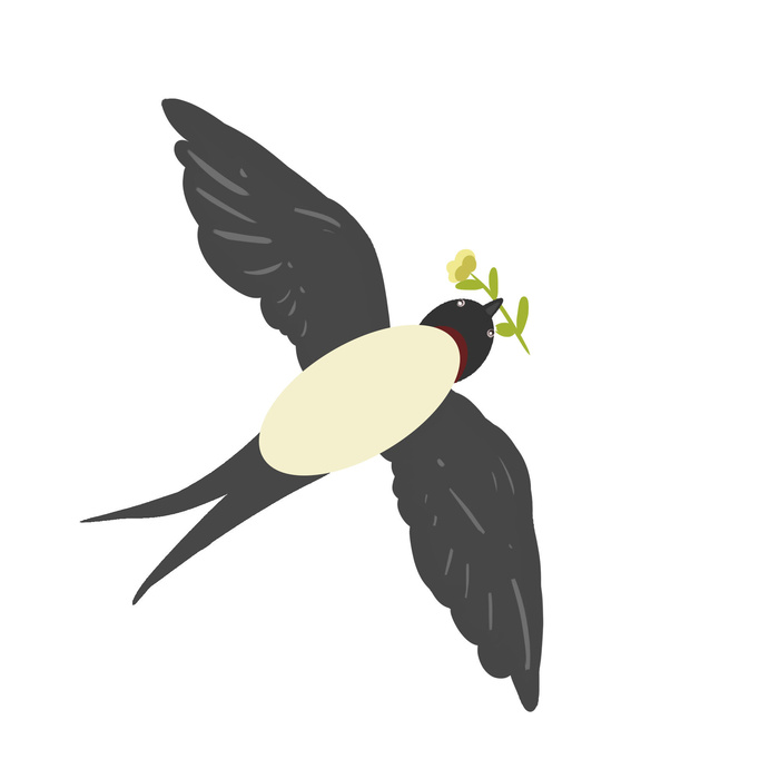 水彩手绘春季春天柳树柳条枝条小鸟小燕子元素PSD设计素材PNG图片