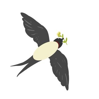 水彩手绘春季春天柳树柳条枝条小鸟小燕子元素PSD设计素材PNG图片