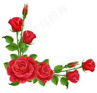 玫瑰 红色 红玫瑰 玫瑰花 花朵 鲜花特写 免抠
