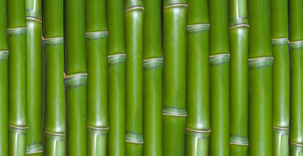 高清竹子背景图片下载