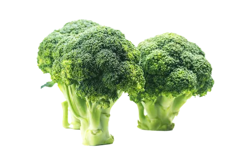 西兰花 (15)超市商品白底图免抠实物摄影png格式图片透明底
