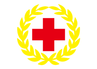 红十字日logo