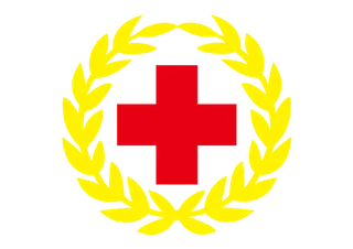红十字日logo