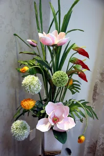 迎春花盆栽高清图片 迎春花盆栽高清图片