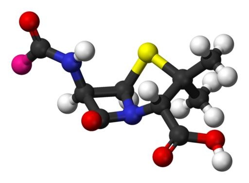 分子 PNG免抠(800x589)