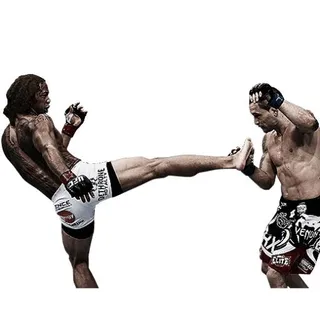 终极格斗冠军赛 PNG免抠