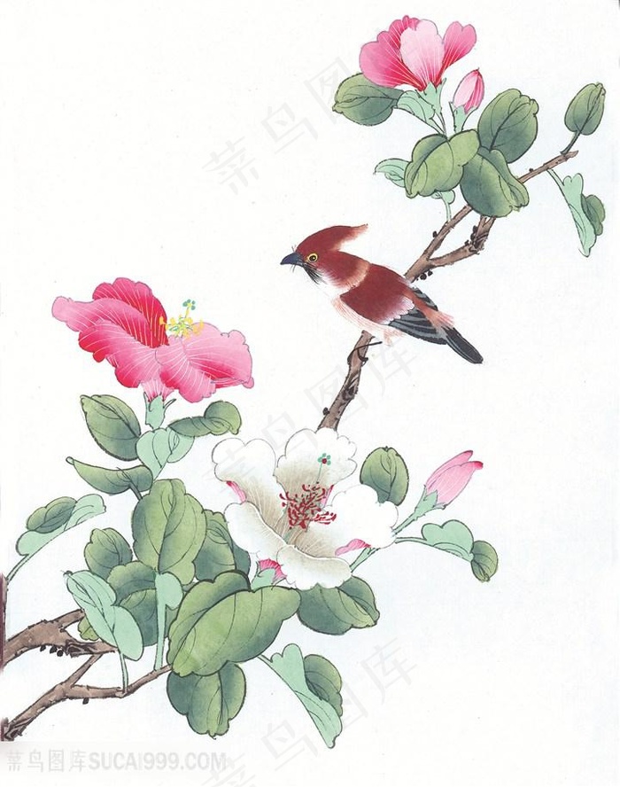 花枝花鸟装饰画