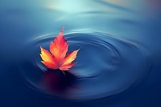 秋叶蓝色水面背景