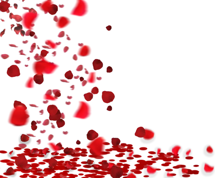 洒落情人节爱心