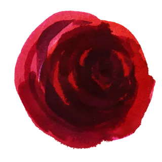 鲜花玫瑰免扣素材