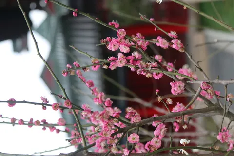 风景|摄影|高清|原创|山水 风景|摄影|高清|原创|山水