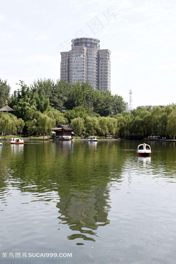 兴庆宫优美的园林景观摄影素材