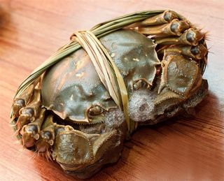 鲜活大闸蟹美食图片素材