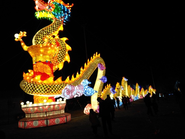 龙形彩灯图片