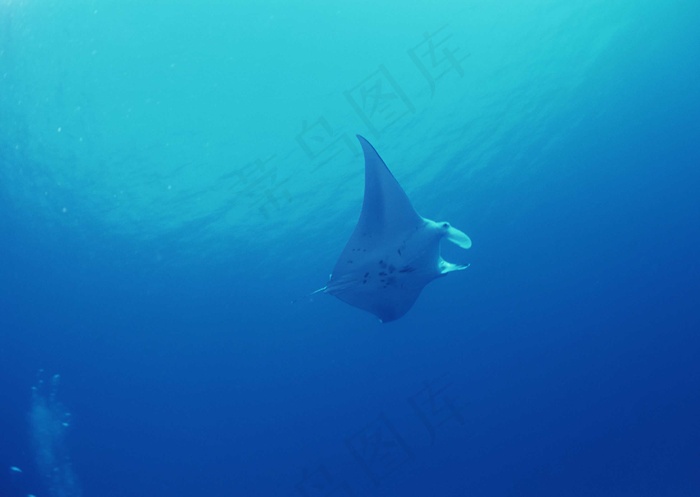 海底世界 108