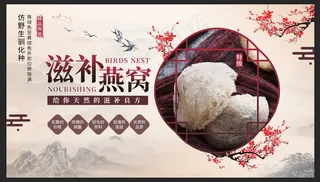 燕窝 滋补品海报