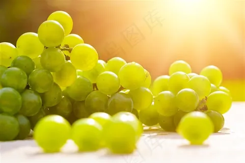 太阳照射下美味的葡萄 太阳照射下美味的葡萄