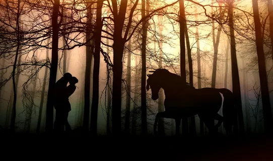 情侣树林唯美意境图片 情侣树林唯美意境图片