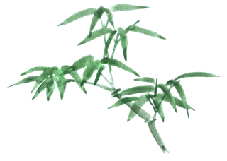 竹子水墨画中国风国画墨水书法竹子画