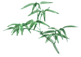 竹子水墨画中国风国画墨水书法竹子画