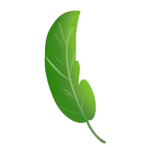 叶子树叶免抠(2048x2048)