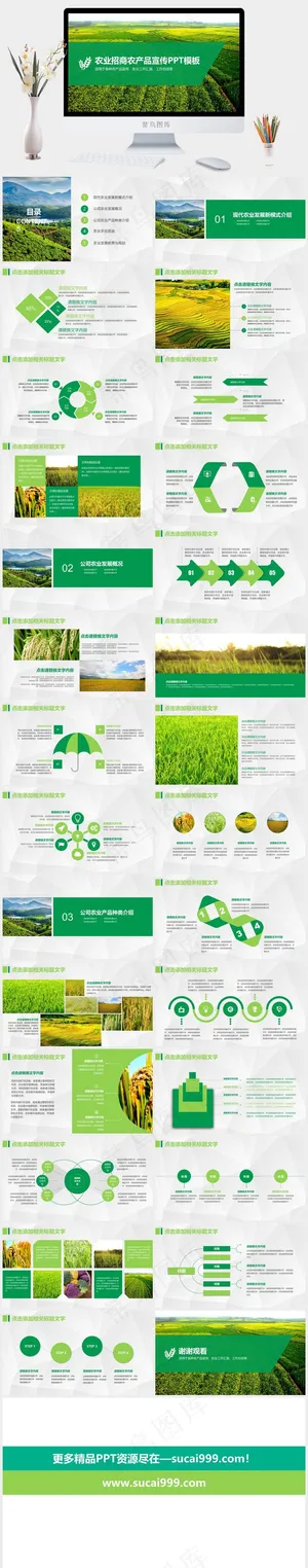 农业粮食PPT模板ppt模版