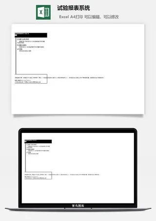 试验报表系统excel模板
