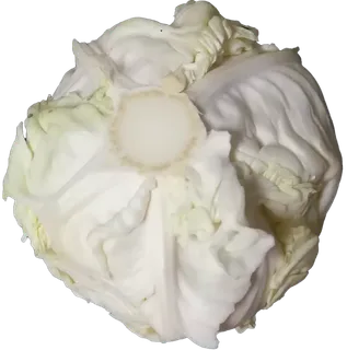 花椰菜圆白菜包菜莲花白大头菜菜心免抠摄影实拍实物元素素材