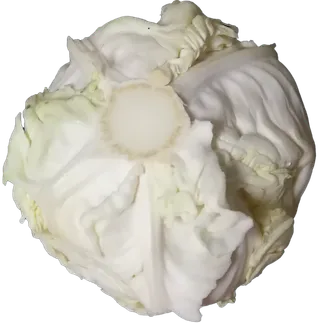 花椰菜圆白菜包菜莲花白大头菜菜心免抠摄影实拍实物元素素材