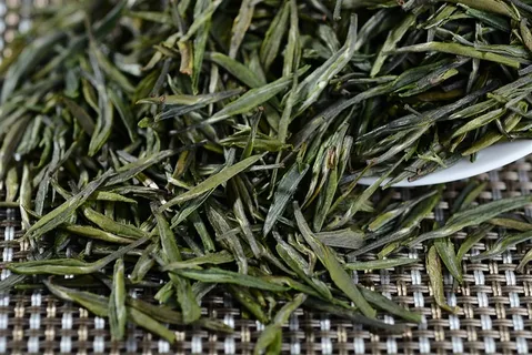 深绿色竹叶青茶叶素材 深绿色竹叶青茶叶素材