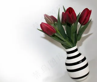 红色郁金香插花图片