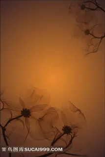 唯美背景JPG图片 唯美背景JPG图片