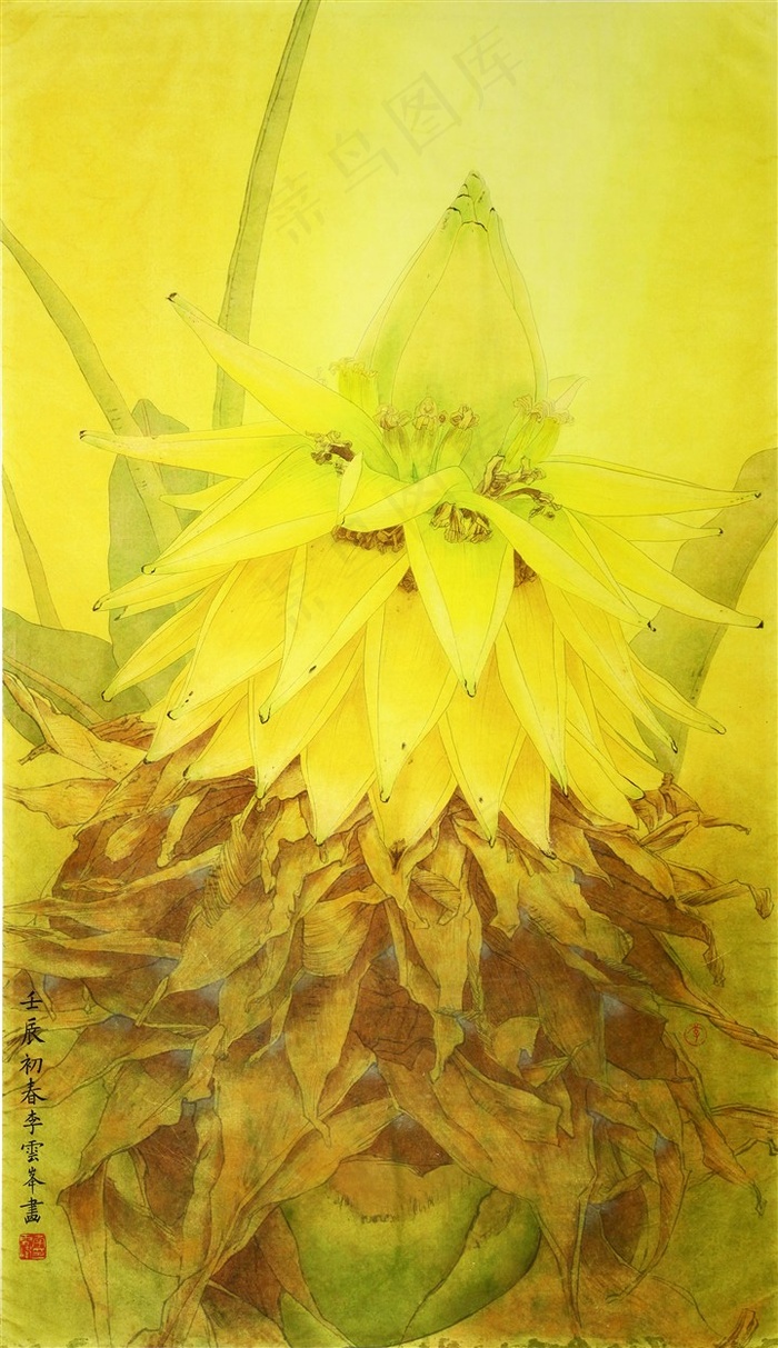 地涌金莲工笔画